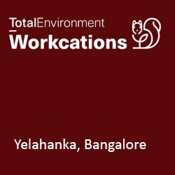 Total Environment Workcation